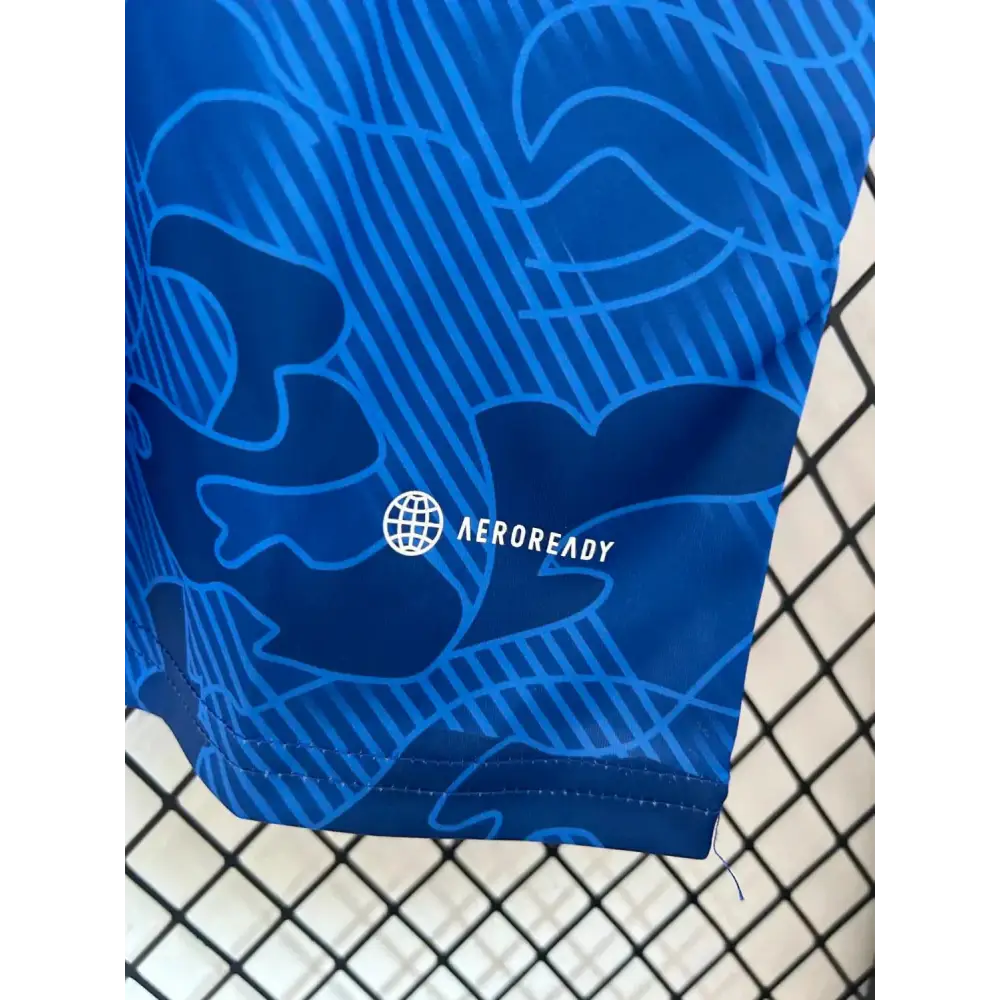 Japon Concept Blue Cargo - Image 3