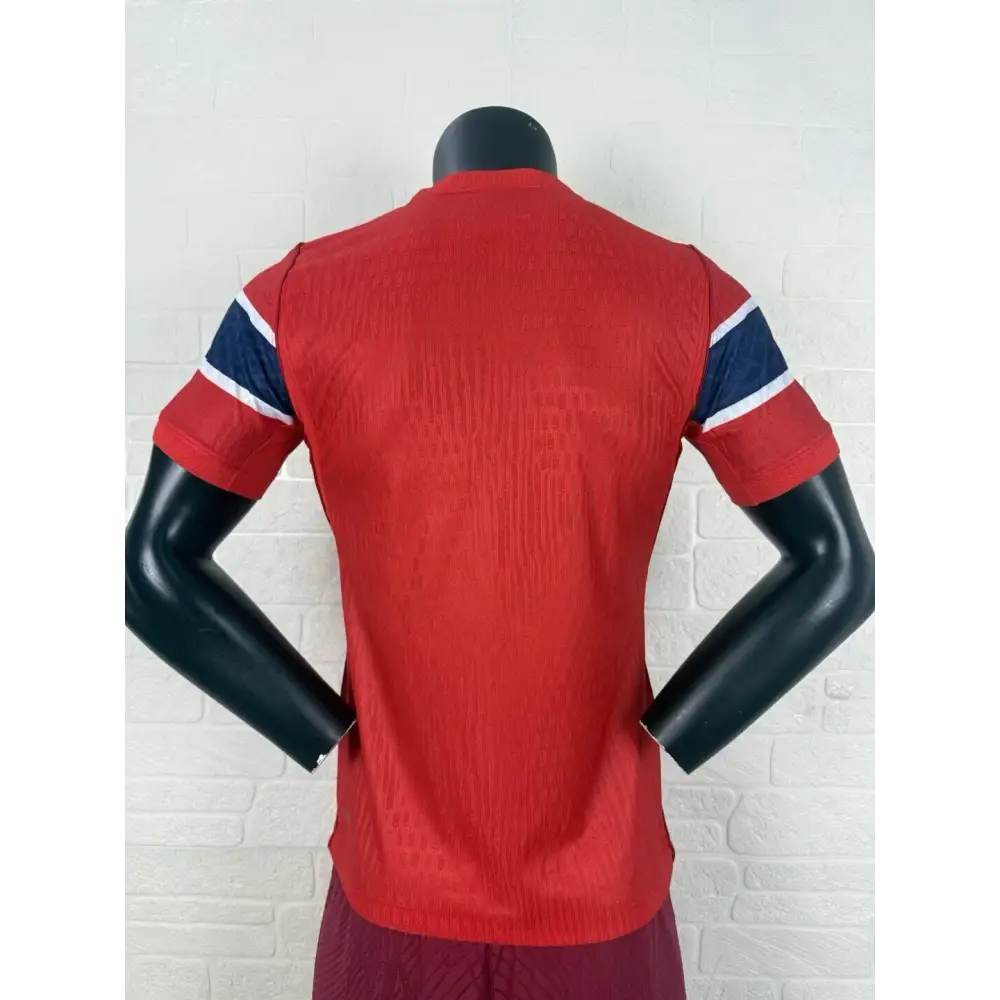 Maillot Norvège Coupe du Monde 2026 Domicile Version Joueur - Image 2