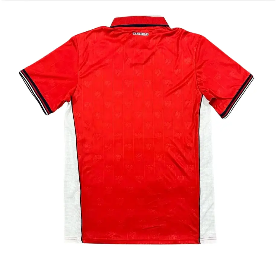 Maillot Panama Coupe du Monde 2026 Domicile - Image 2