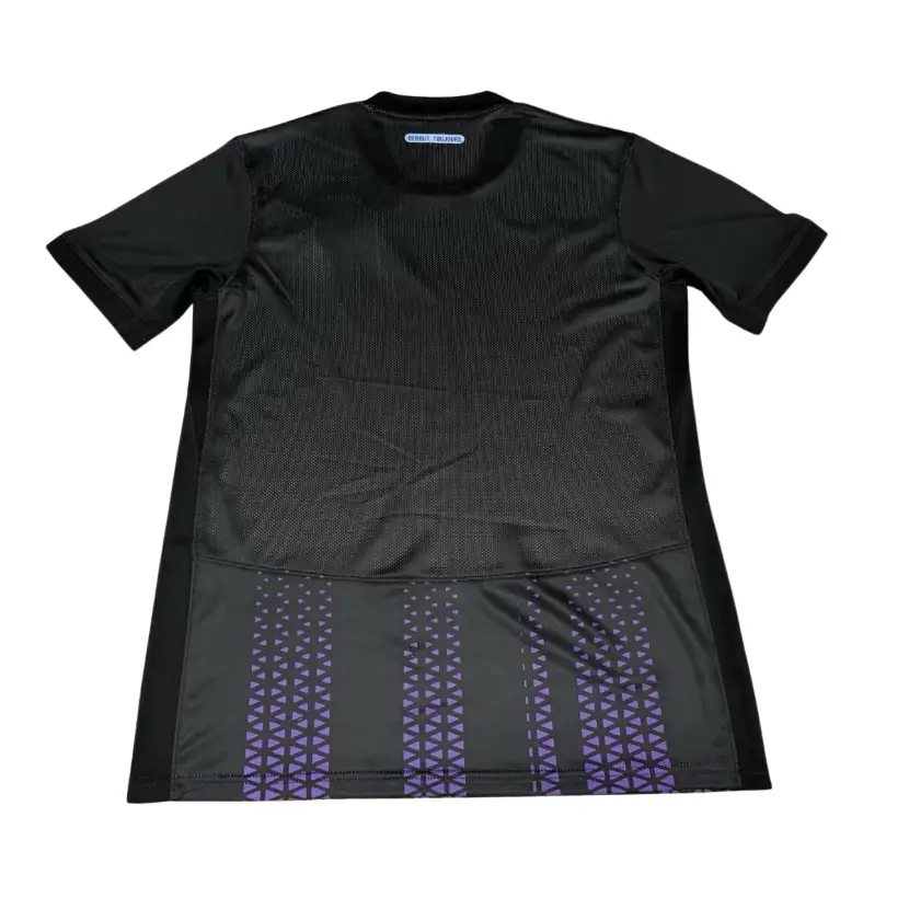 Maillot Toulouse Third 2025/2026 - Image 2